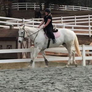 Meet your Posher, Ava